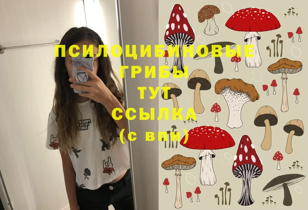 герыч Осташков