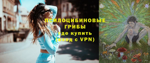 мдпв Осинники